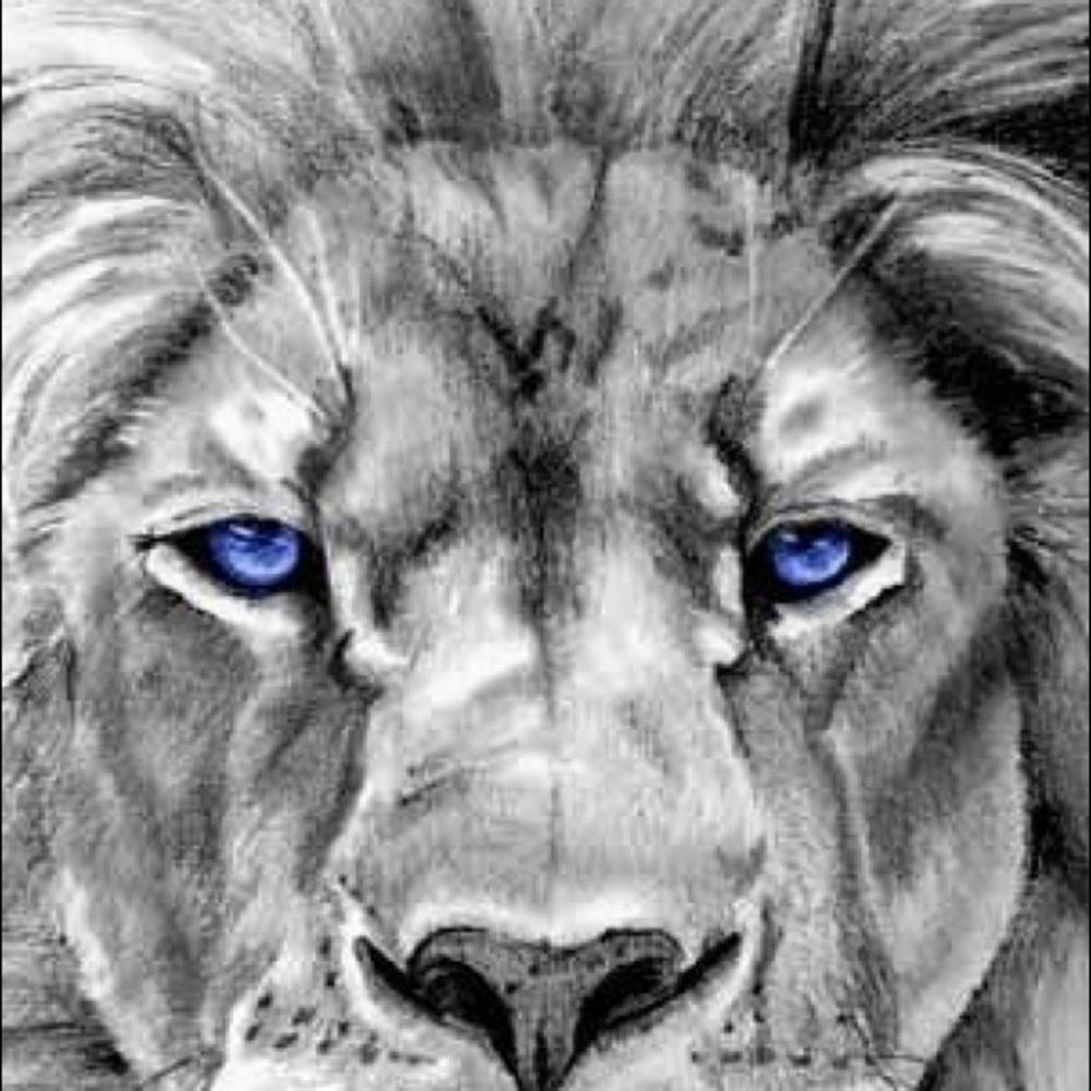 Meet your Posher, Sweet Carolina.